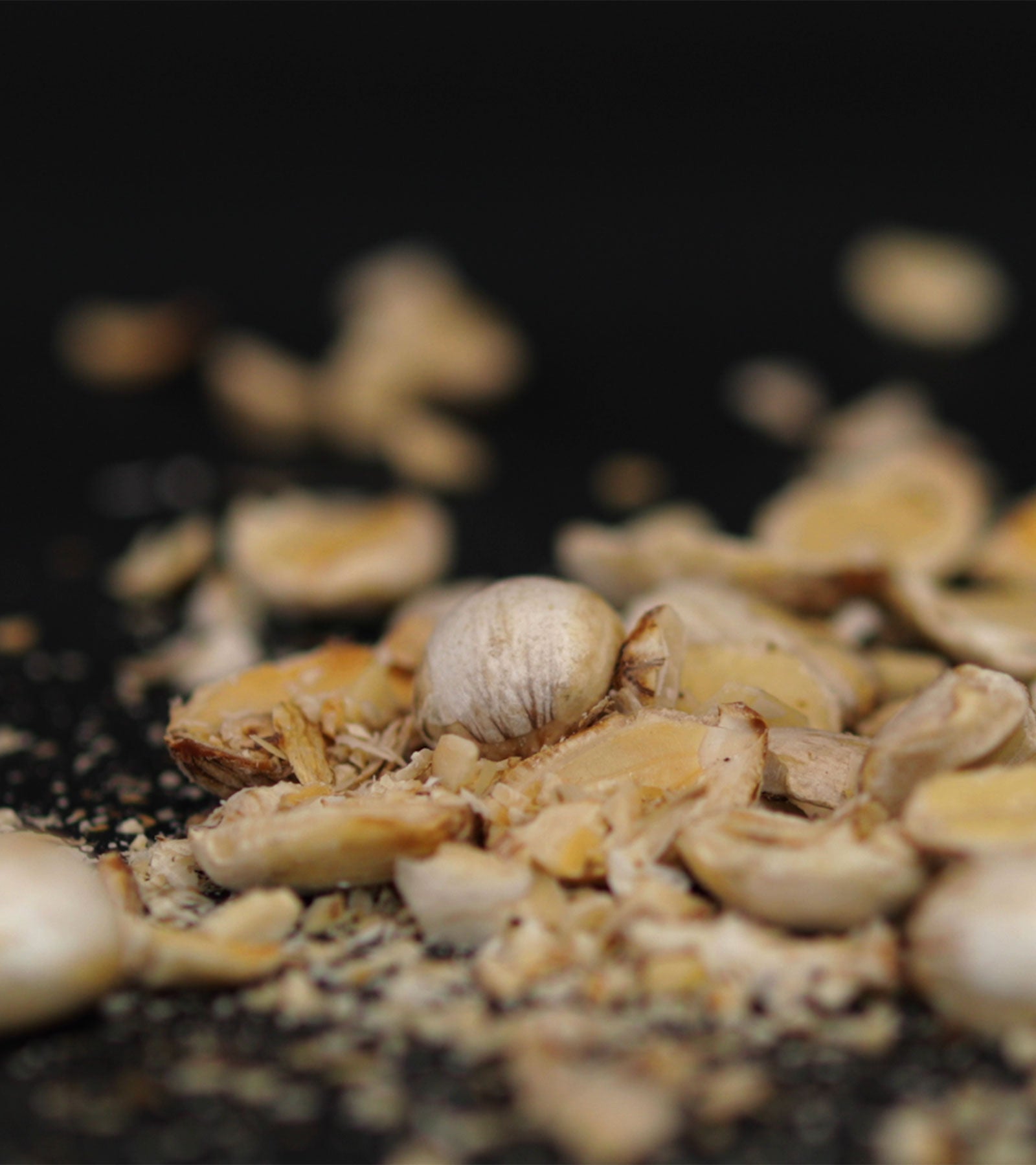 Rainforest Nuts - Alchemy Collection - To'ak