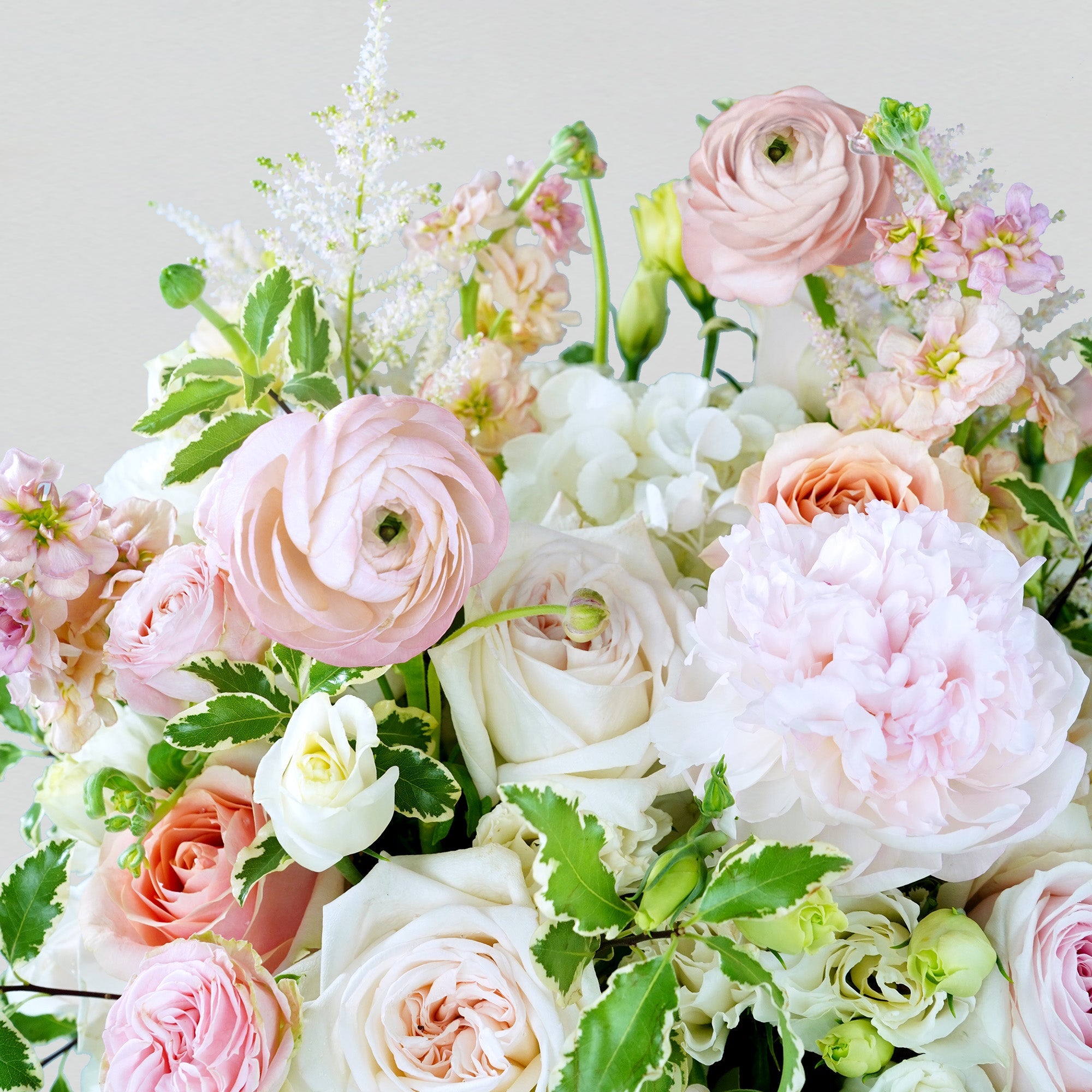 Pink fresh flowers in a white round box
