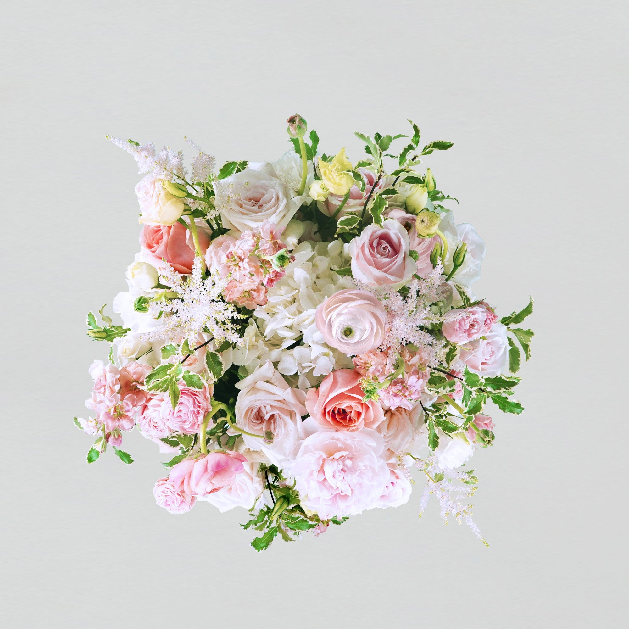 Pink fresh flowers in a white round box