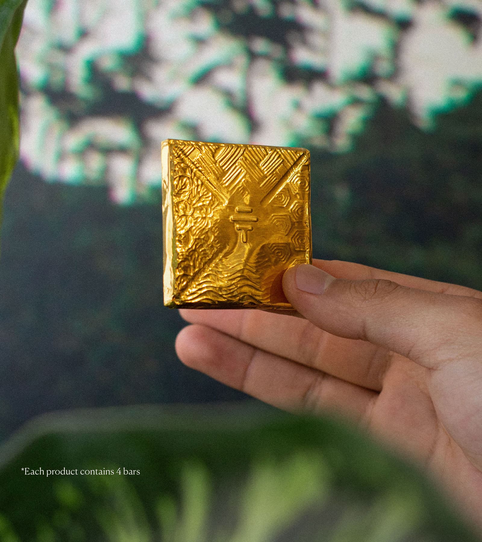 Rainforest Nuts - Alchemy Collection - To'ak