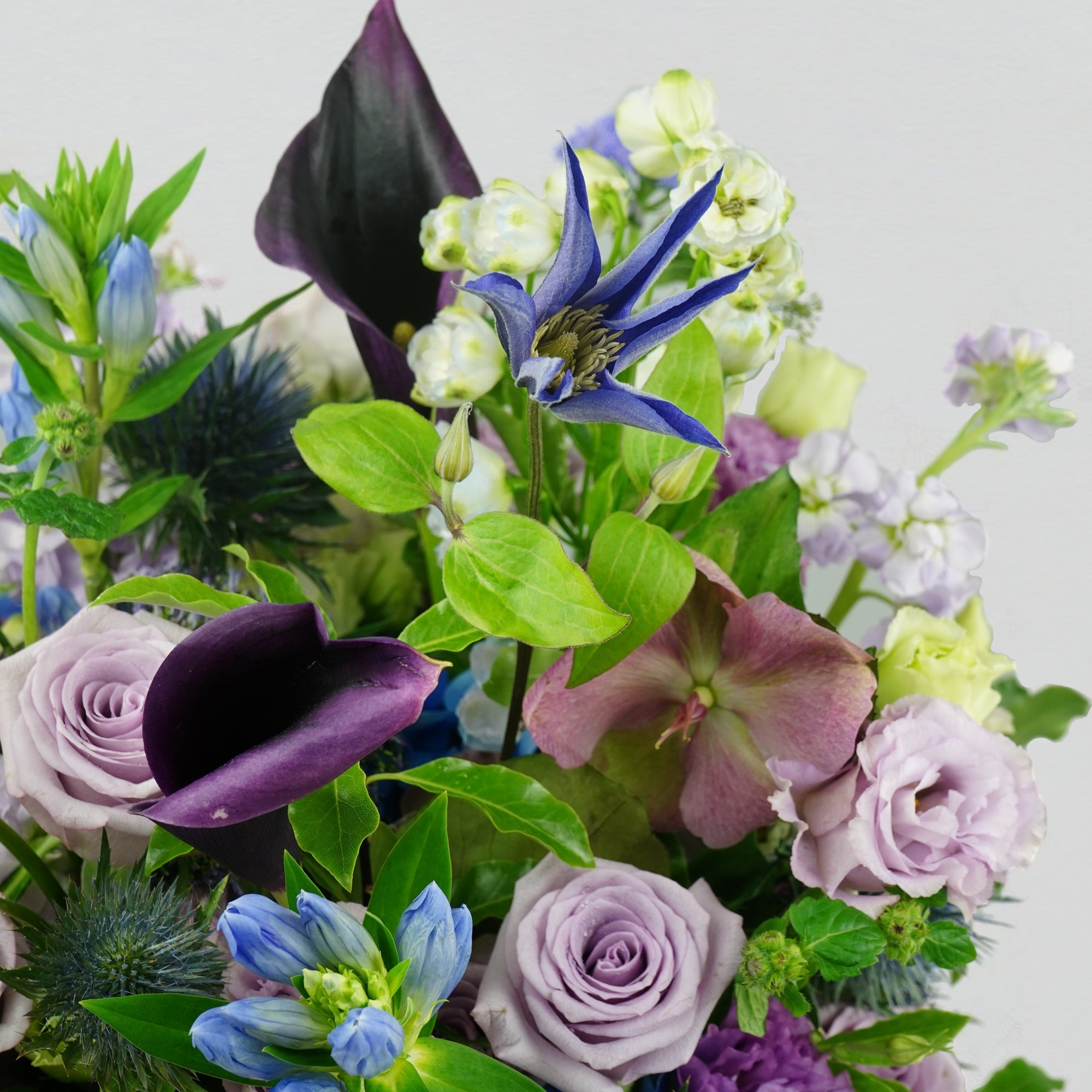 A selection of blue and purple fresh florals arranged in a white round box