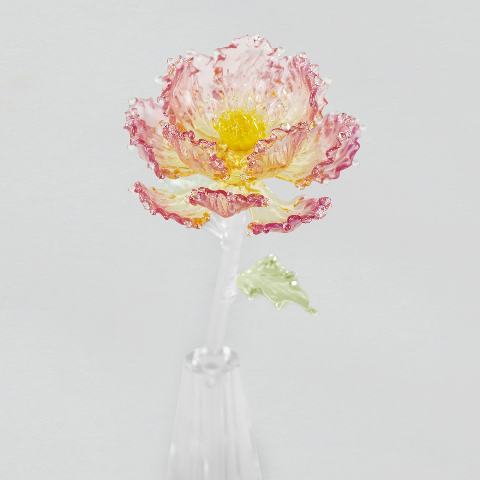 Eternal Peony