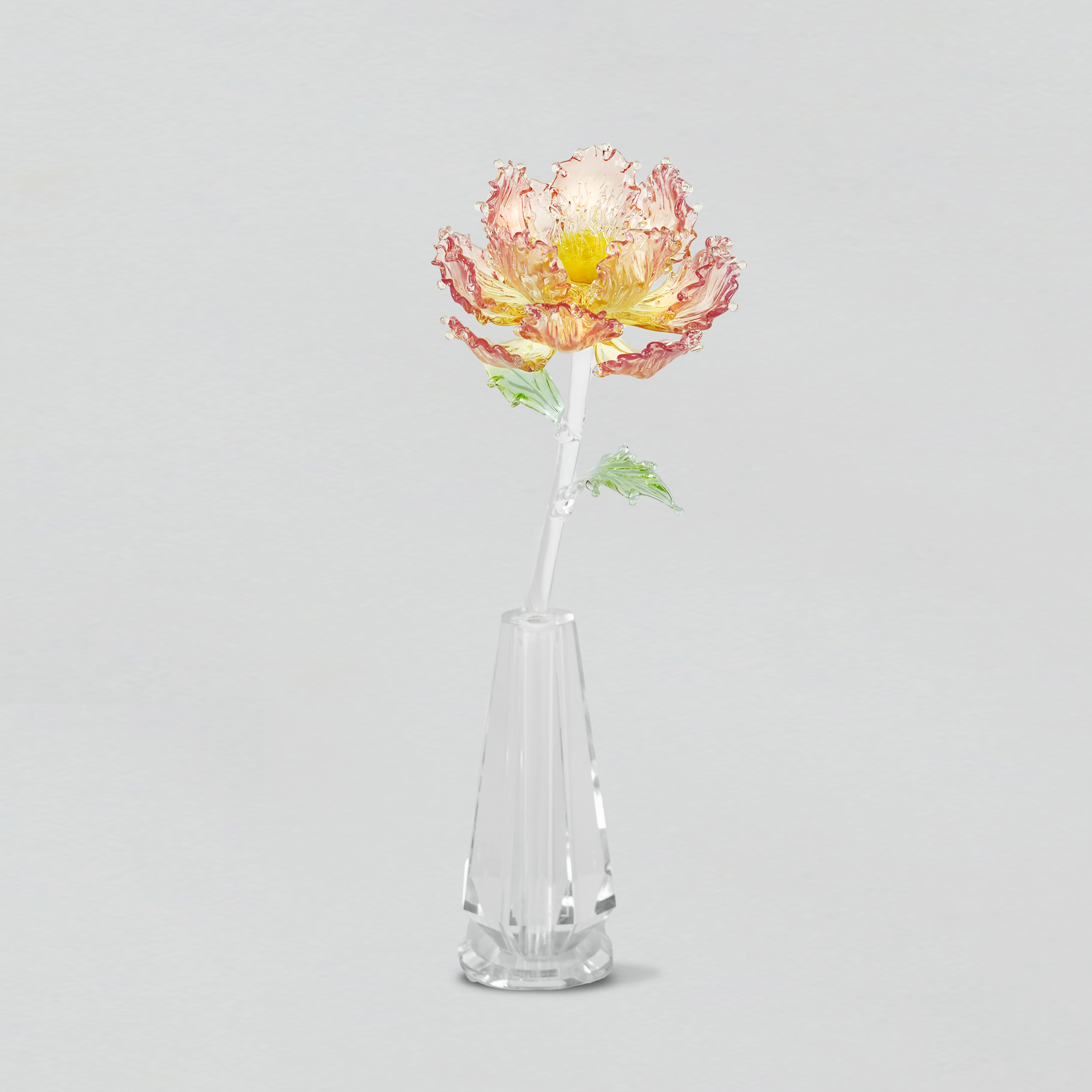 Eternal Peony