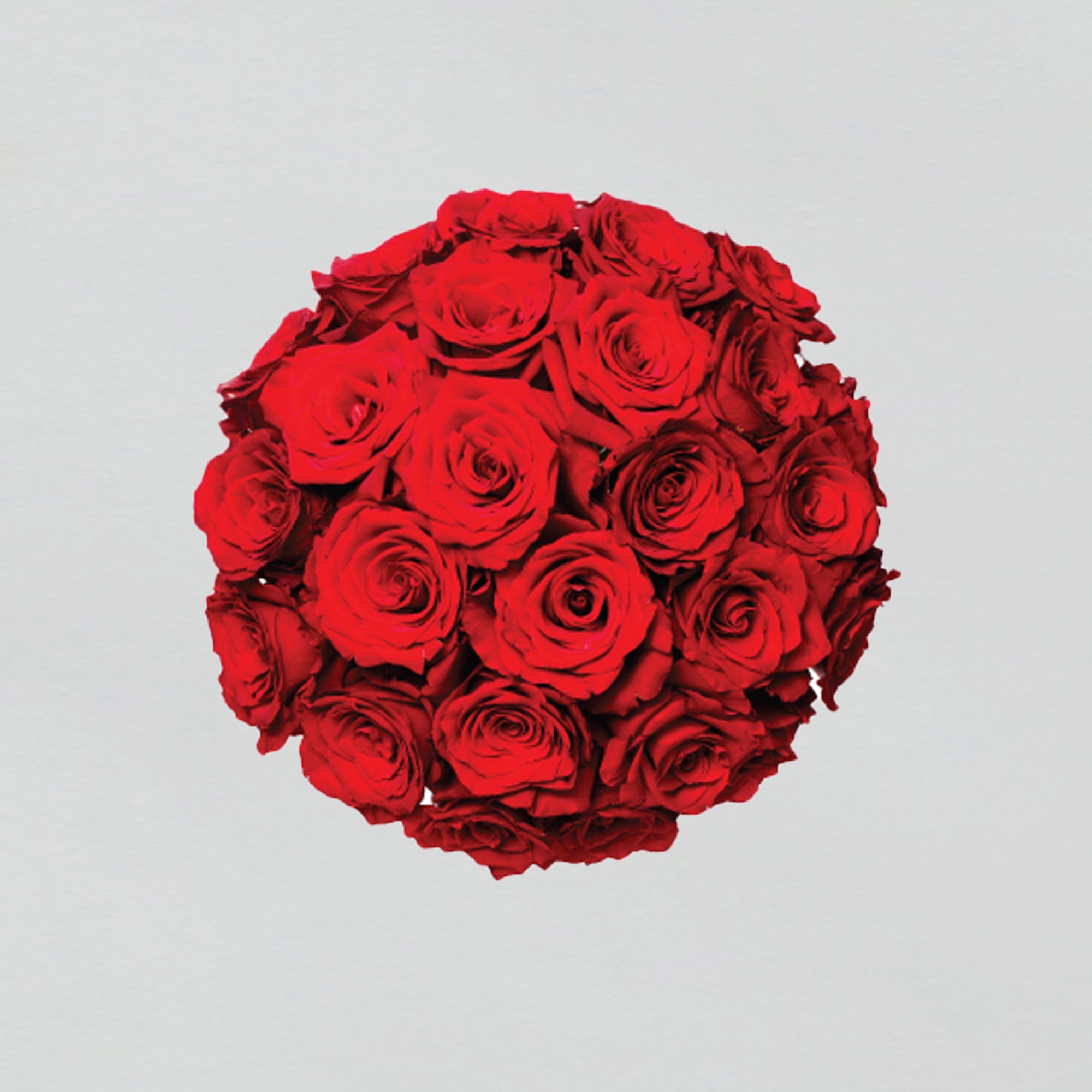 Fresh red roses arranged in a clear glass vase